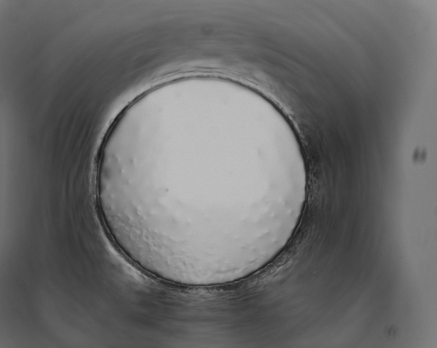 X0000094361527200711241926