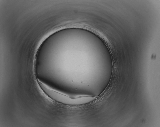 X0000094361528200711241926