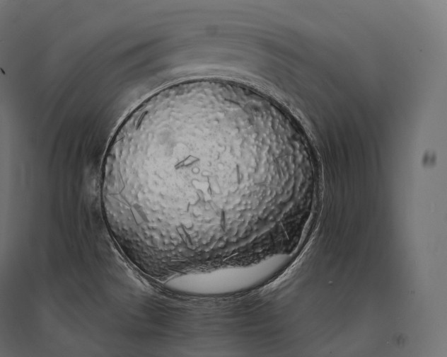 X0000094361529200711241926