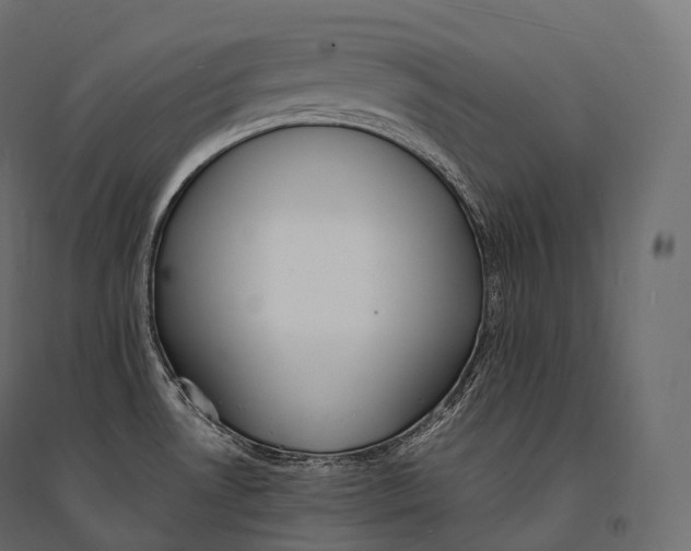 X0000094361530200711241926