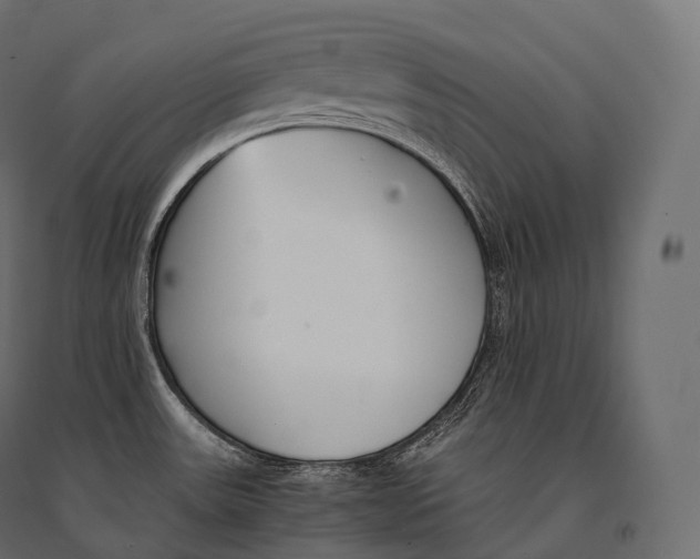 X0000094361531200711241926