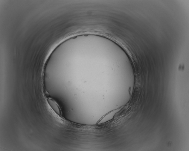 X0000094361532200711241926