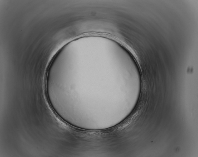 X0000094361533200711241926