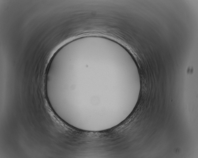 X0000094361534200711241926