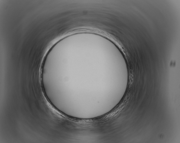 X0000094361535200711241926