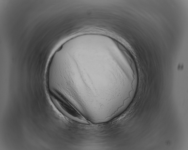 X0000094361536200711241926