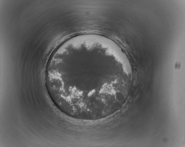 X0000094360002200711301436