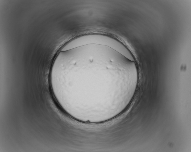 X0000094360010200711301436
