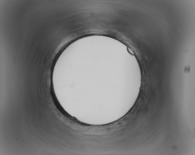 X0000094360011200711301436