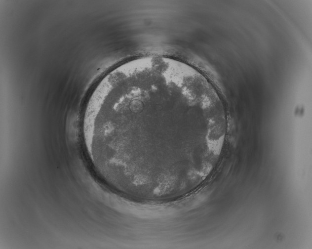 X0000094360012200711301436