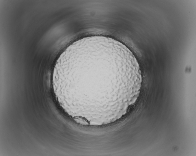 X0000094360014200711301436