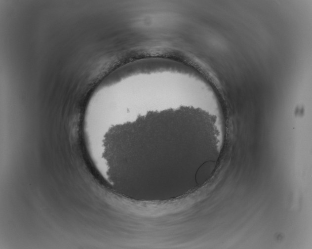 X0000094360018200711301436
