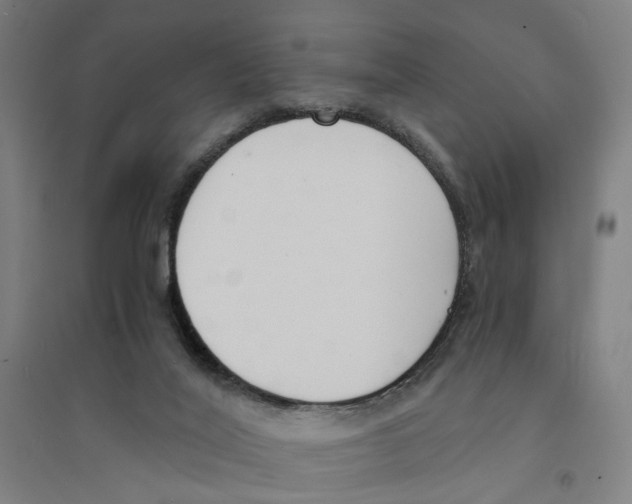 X0000094360020200711301436
