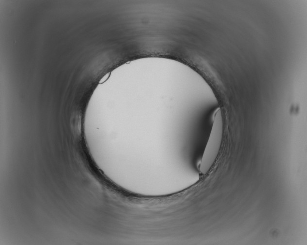 X0000094360021200711301436
