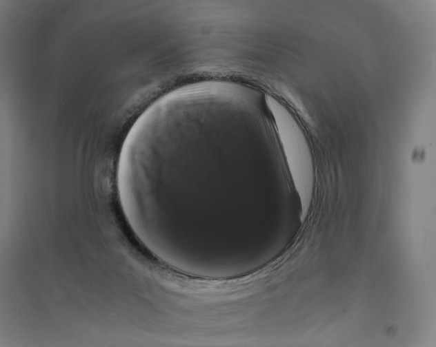 X0000094360023200711301436