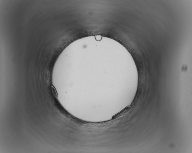 X0000094360025200711301436