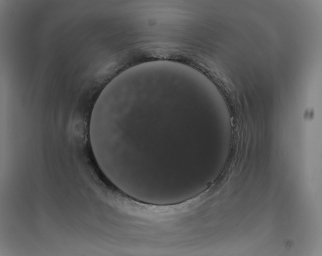 X0000094360031200711301436