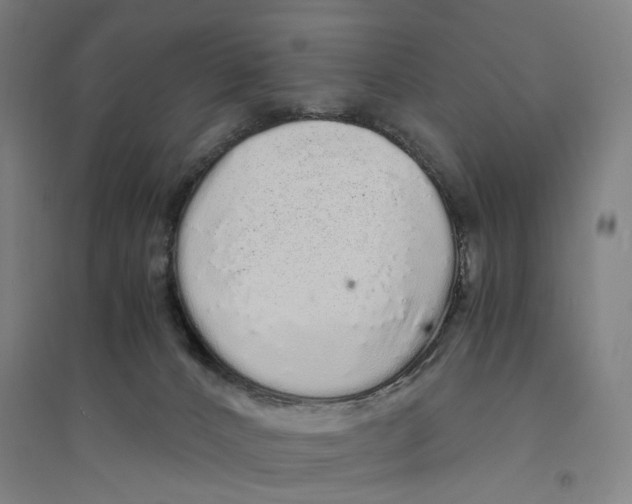 X0000094360032200711301436