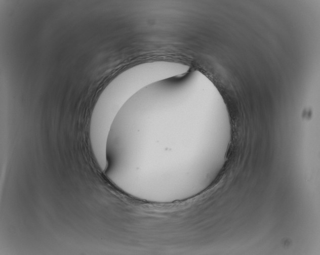 X0000094360033200711301435