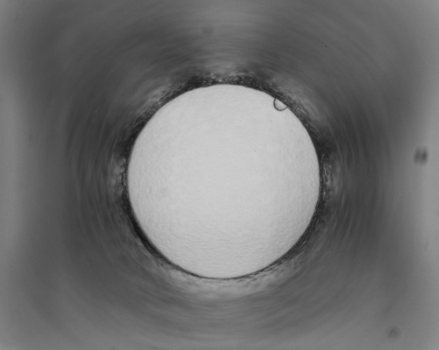 X0000094360034200711301435