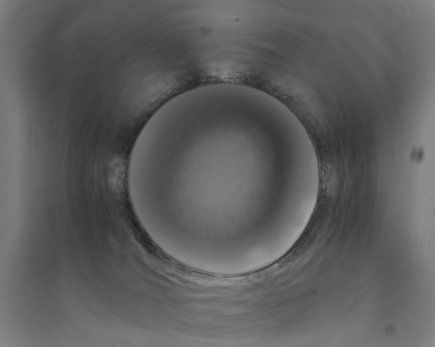 X0000094360036200711301435