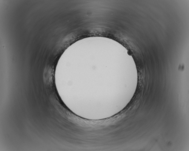X0000094360038200711301435