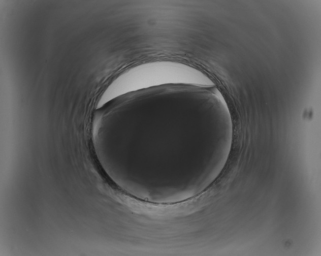 X0000094360039200711301435