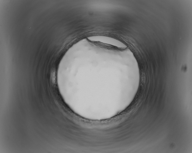 X0000094360046200711301435