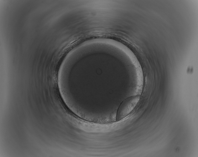 X0000094360048200711301435