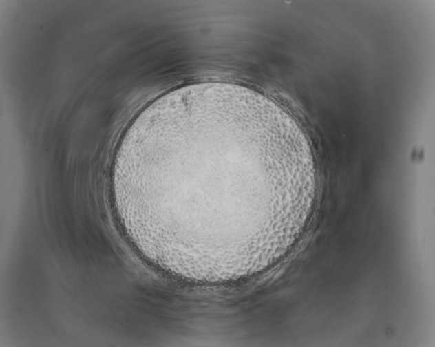 X0000094360049200711301434
