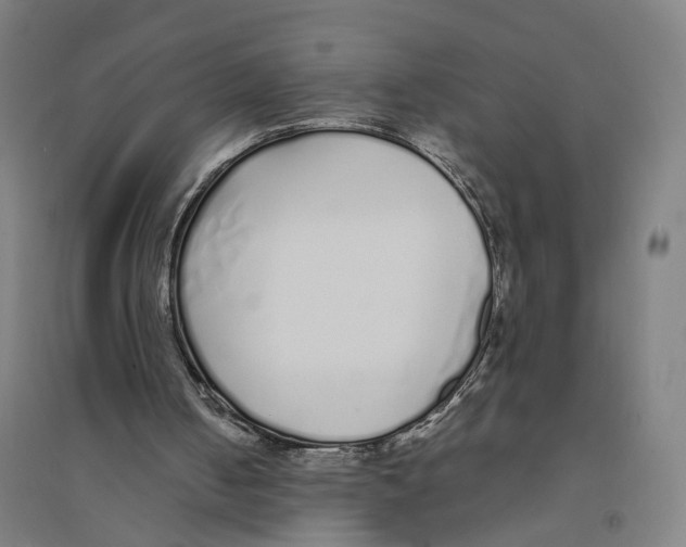 X0000094360050200711301434