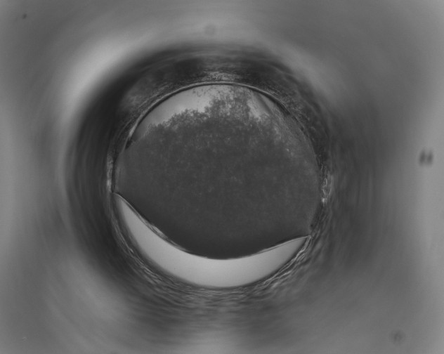 X0000094360052200711301434