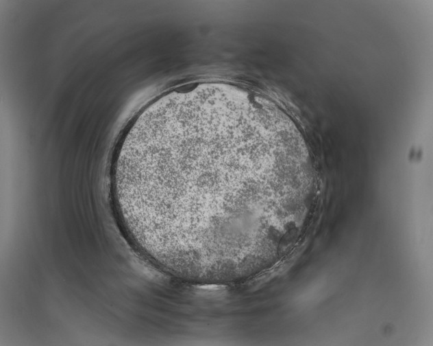 X0000094360053200711301434