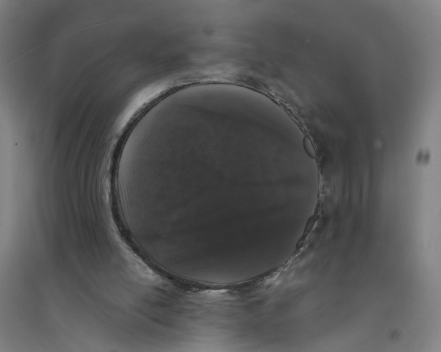 X0000094360054200711301434