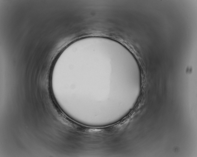 X0000094360055200711301434