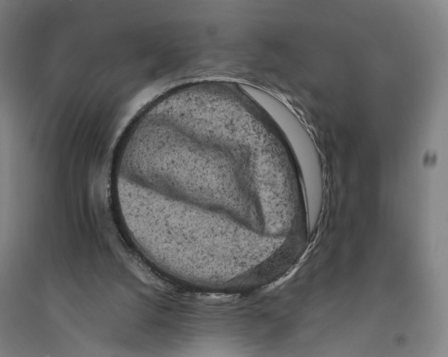 X0000094360056200711301434