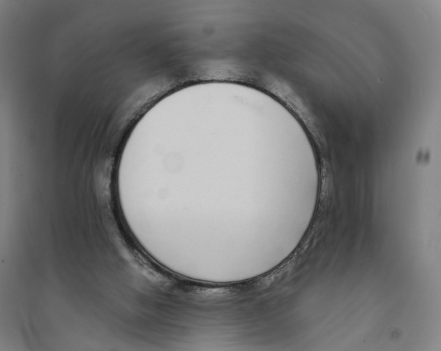 X0000094360058200711301435
