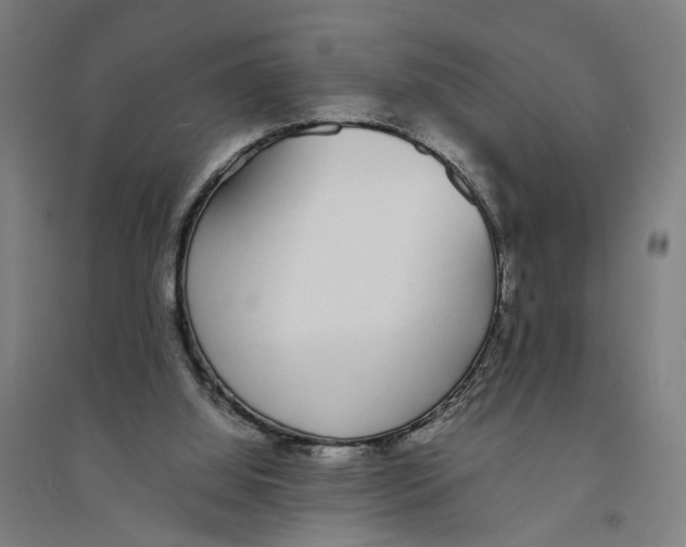 X0000094360060200711301435