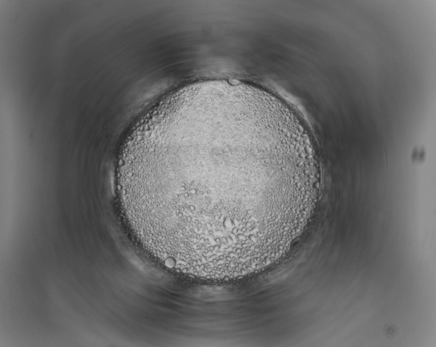 X0000094360061200711301435