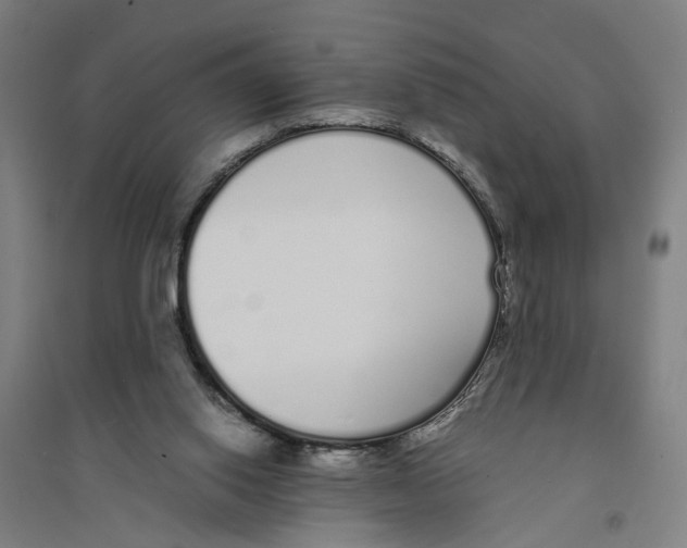 X0000094360062200711301435