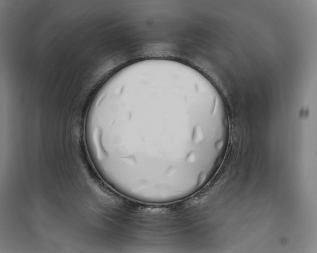 X0000094360063200711301435