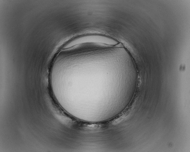 X0000094360064200711301435