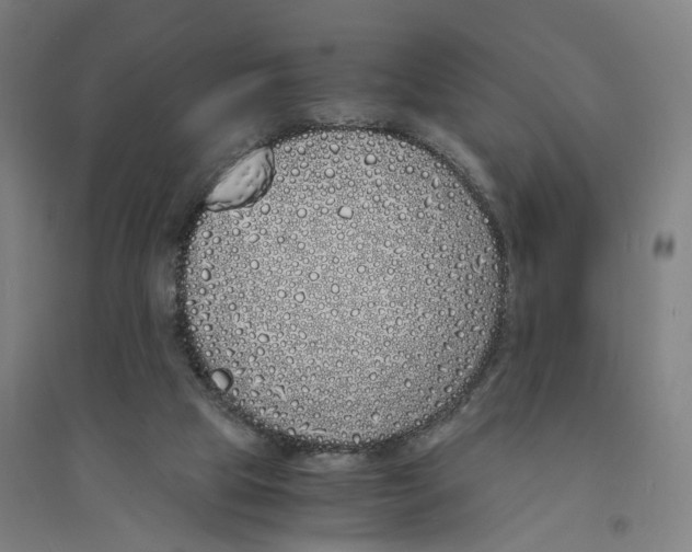 X0000094360065200711301435