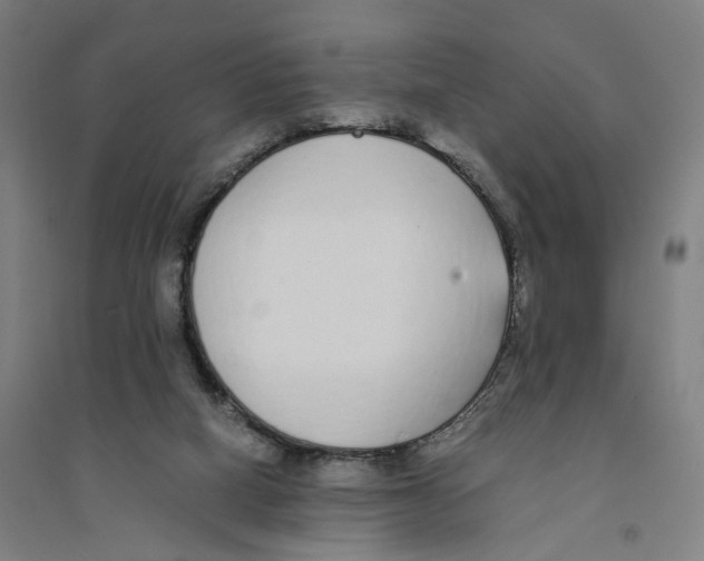 X0000094360066200711301435