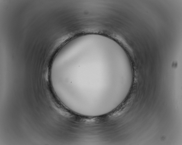 X0000094360068200711301435