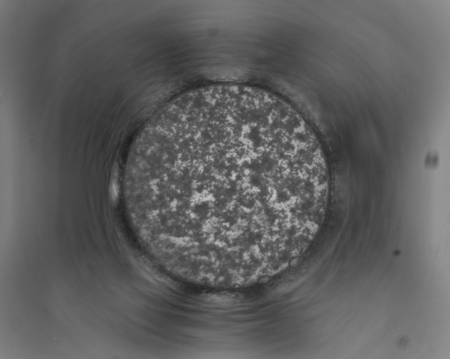 X0000094360069200711301435