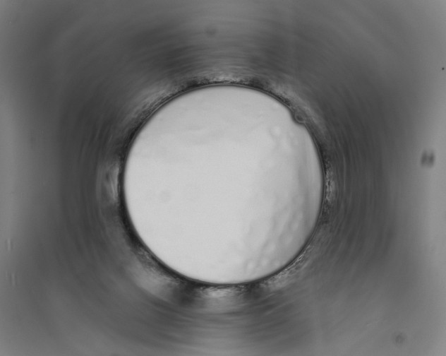 X0000094360070200711301435
