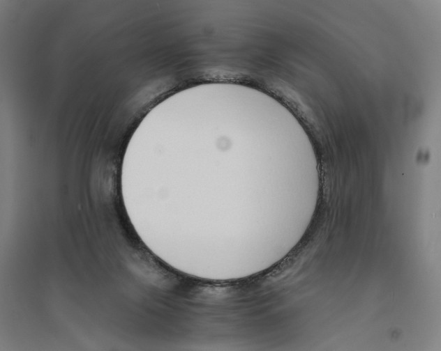 X0000094360071200711301435