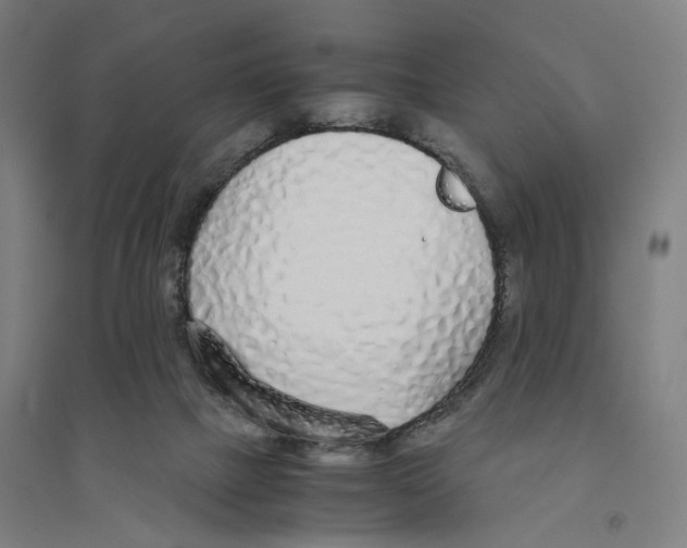 X0000094360073200711301435