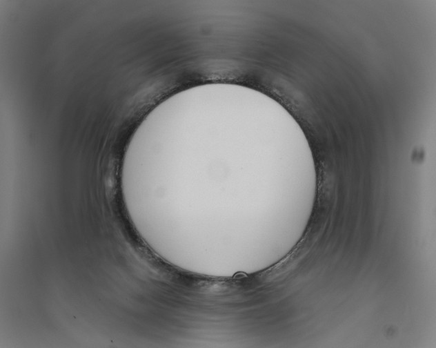 X0000094360074200711301435